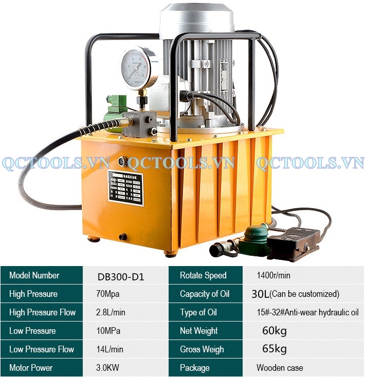 Bom dien thuy luc cao ap 30L DB300 D1