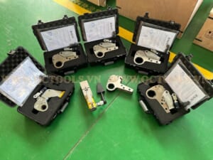 Co le thuy luc dang trong sov