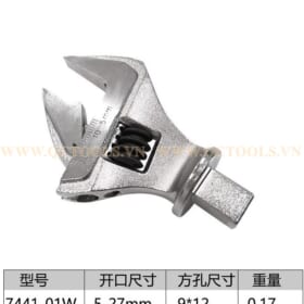 dau co le luc mo let 7441 01W