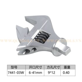 dau co le luc mo let 7441 03W