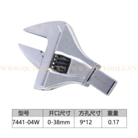 dau co le luc mo let 7441 04W