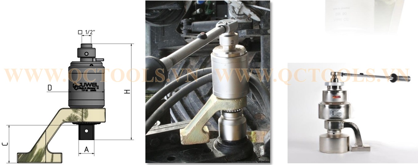 co le nhan luc Juwel