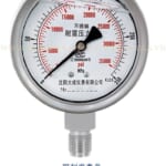 Đồng hồ đo áp suất 250 Mpa mặt 100 mm YTN-100F/(0-250Mpa)