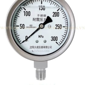 Dong ho do ap suat 300 Mpa YTN 100F